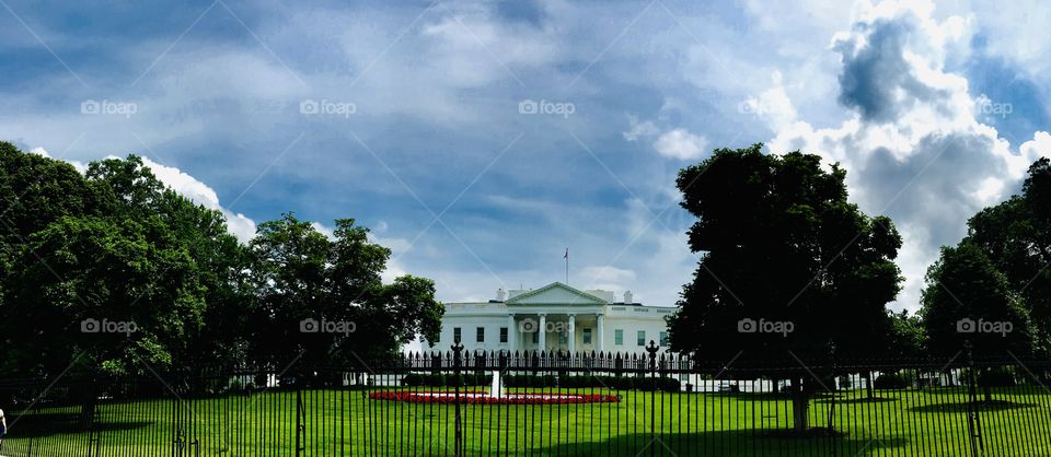 The White House 