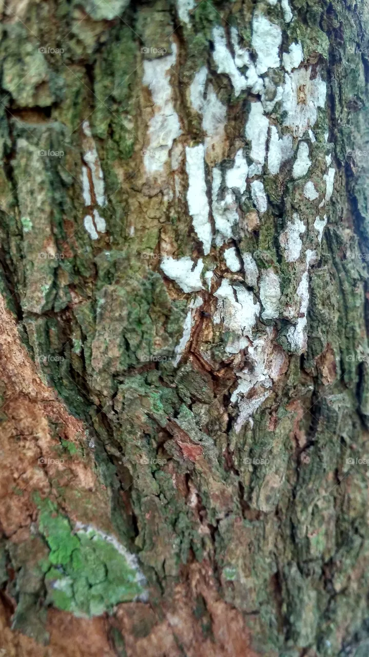 texture
