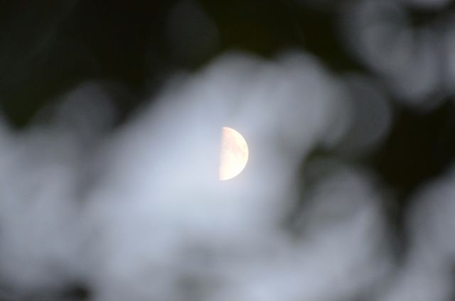 Half Moonview.