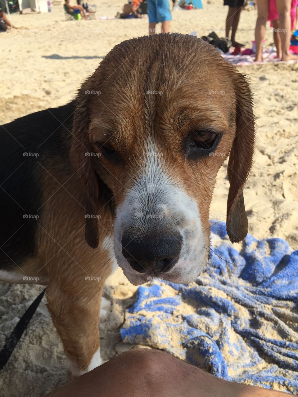 Lucas at the beach