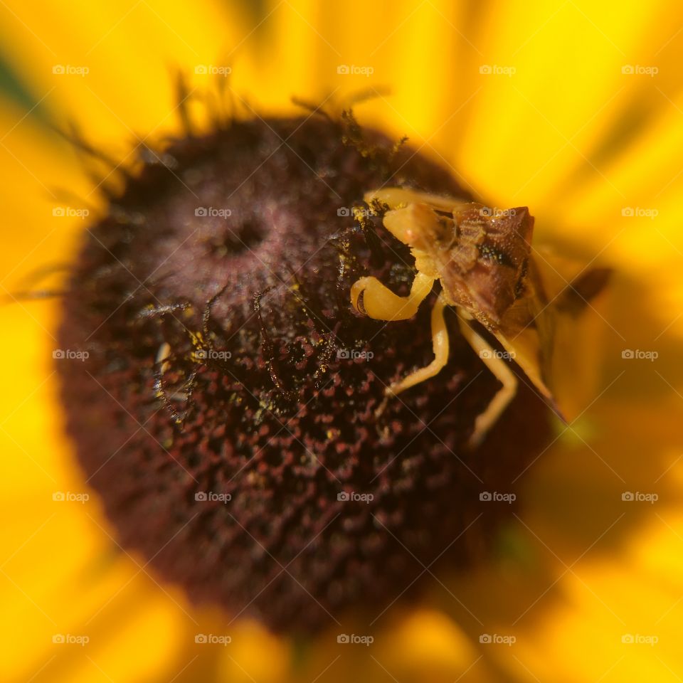 Who is this armored guy?