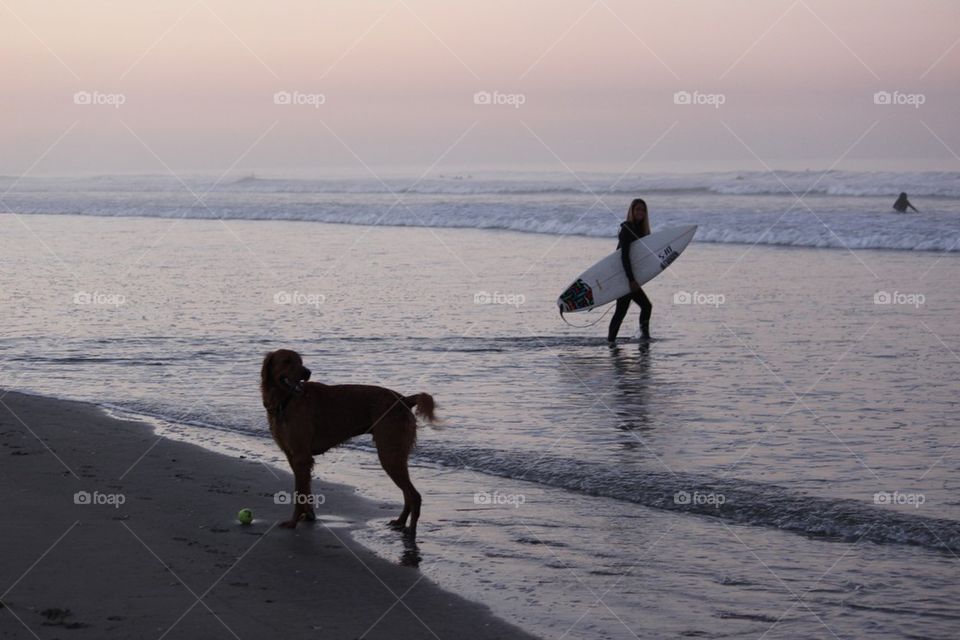 Surfer and her dog