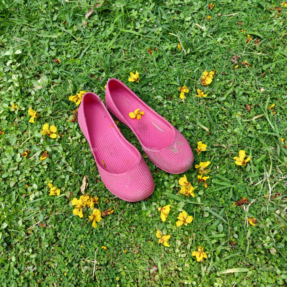 soft pink shoes on green grass with yellow summer flowers
