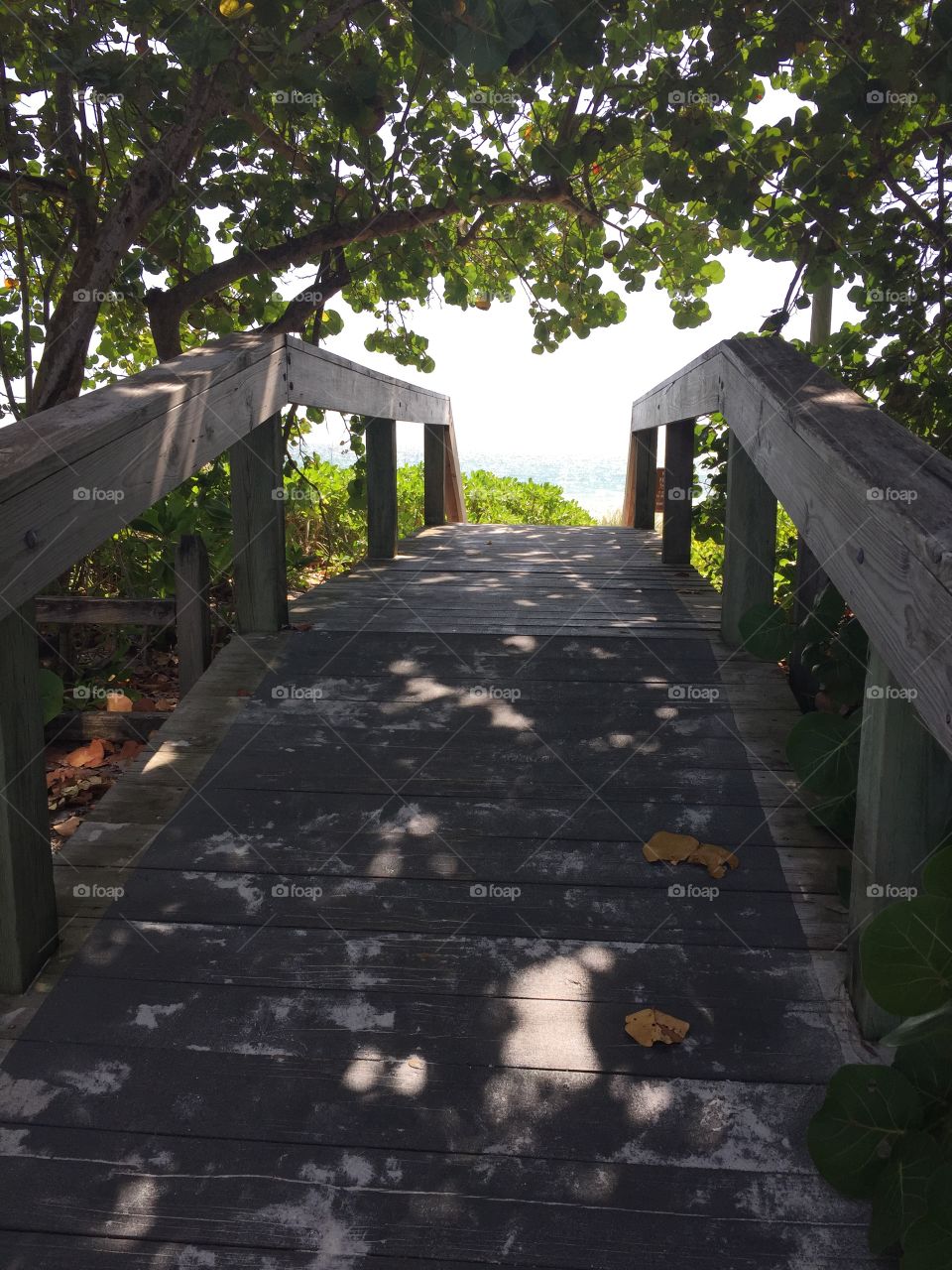 Beach path