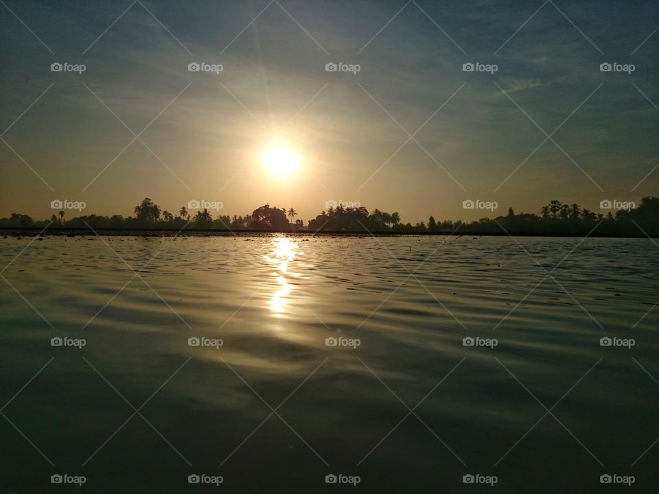 sunlight morning . sunlight morning sunshine and water at paddy field