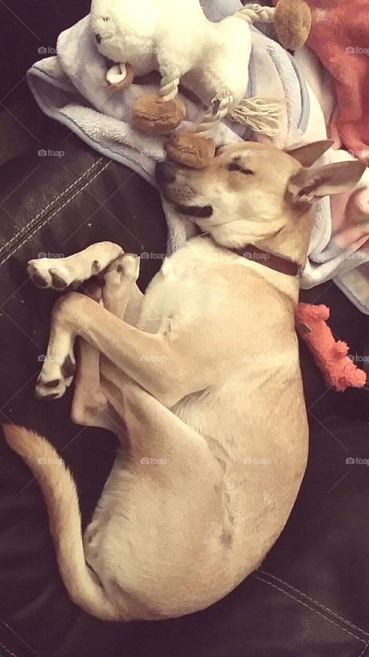 One, People, Adult, Art, No Person