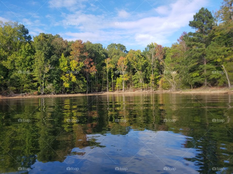 Autumn reflections on a lake surrounded by trees