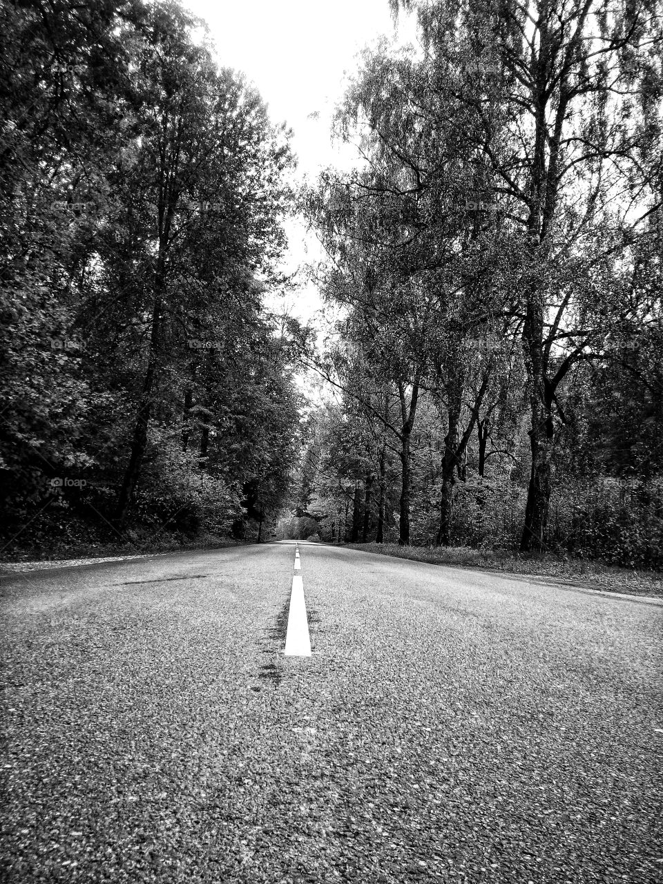 "The most colorful thing in the world is black and white, it contains all colors and at the same time excludes all."
~ Vikrmn, 10 Alone