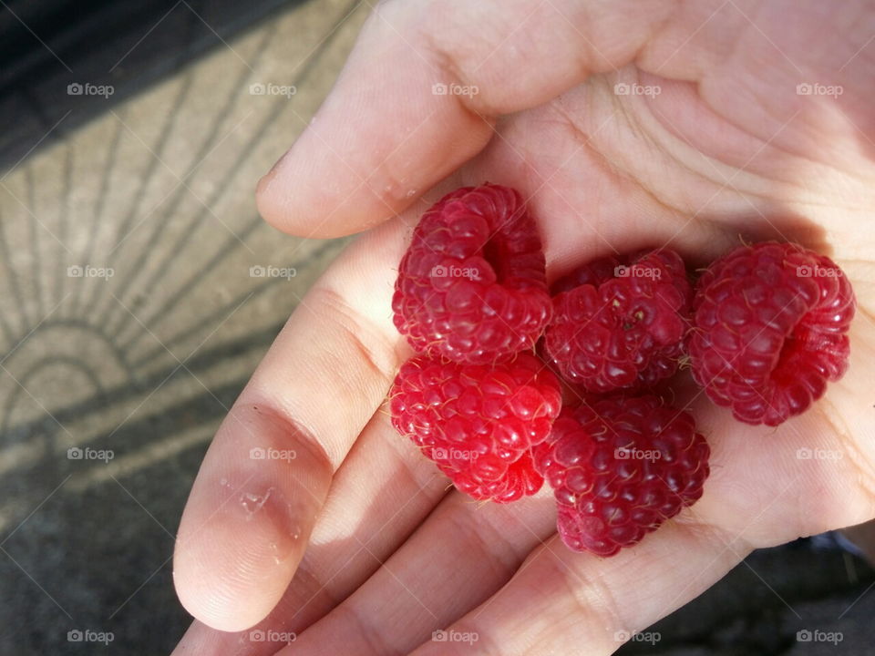 sweet fruit raspberry
