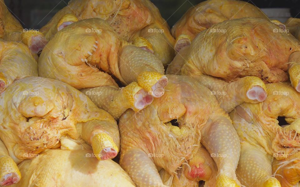 Fresh raw whole chickens stacked on ice in a market in San Miguel de Allende, Nexico