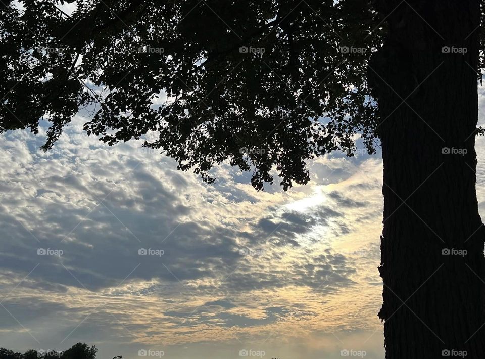 The start of a beautiful sunset