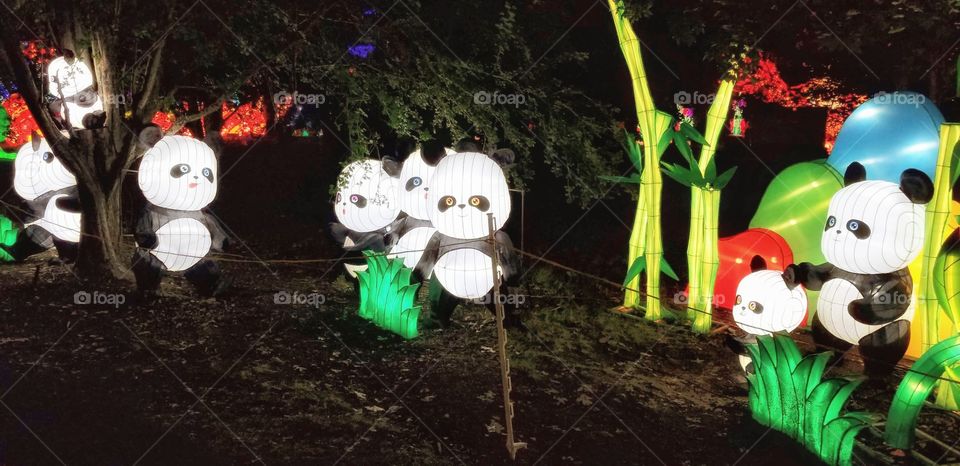 ILLUMINATION of Lights