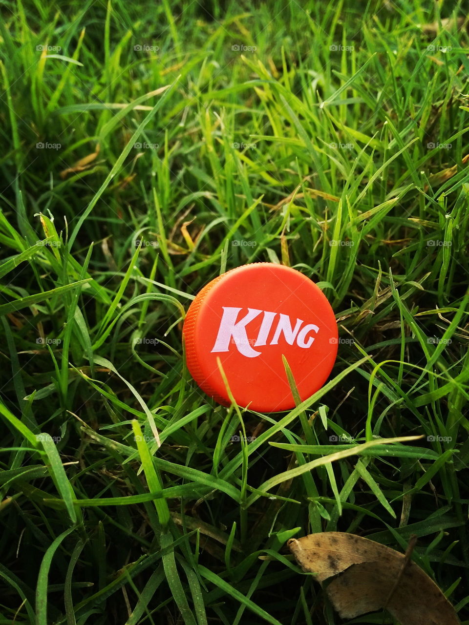 King logo