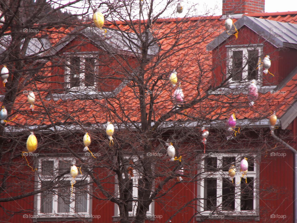 Spring egg tree decorations in Norway