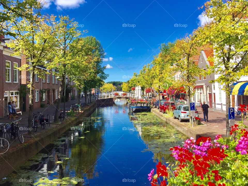 Canals in the Netherlands