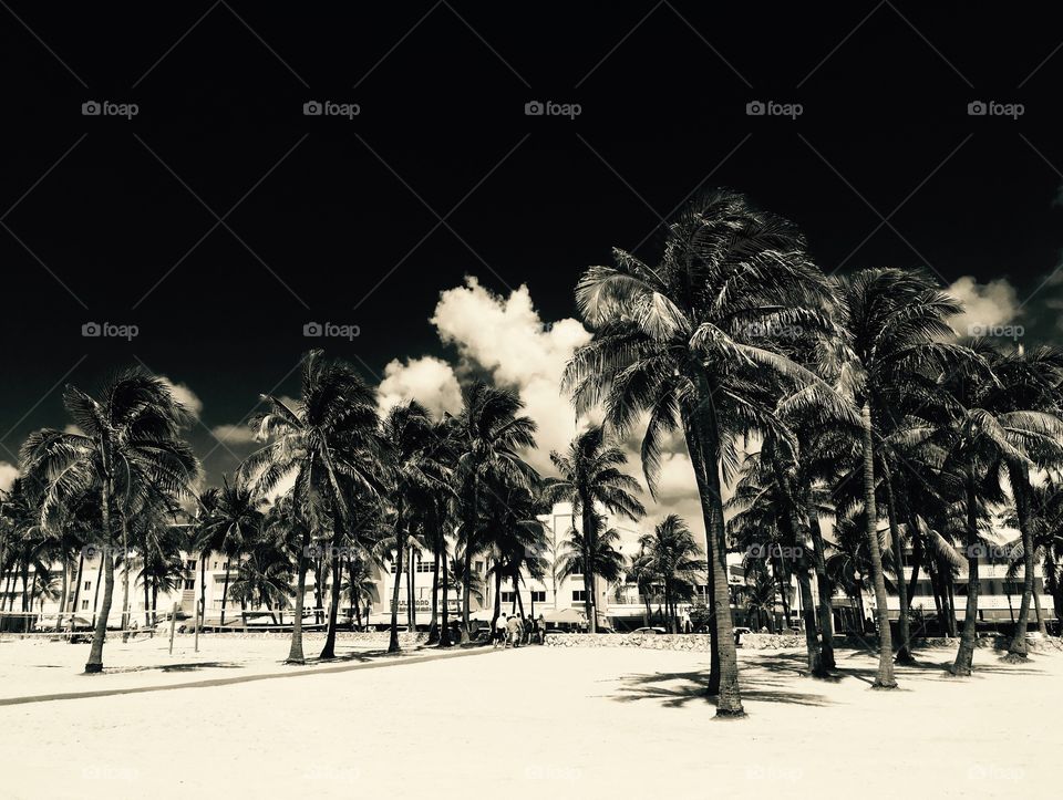 Ocean drive Miami beach