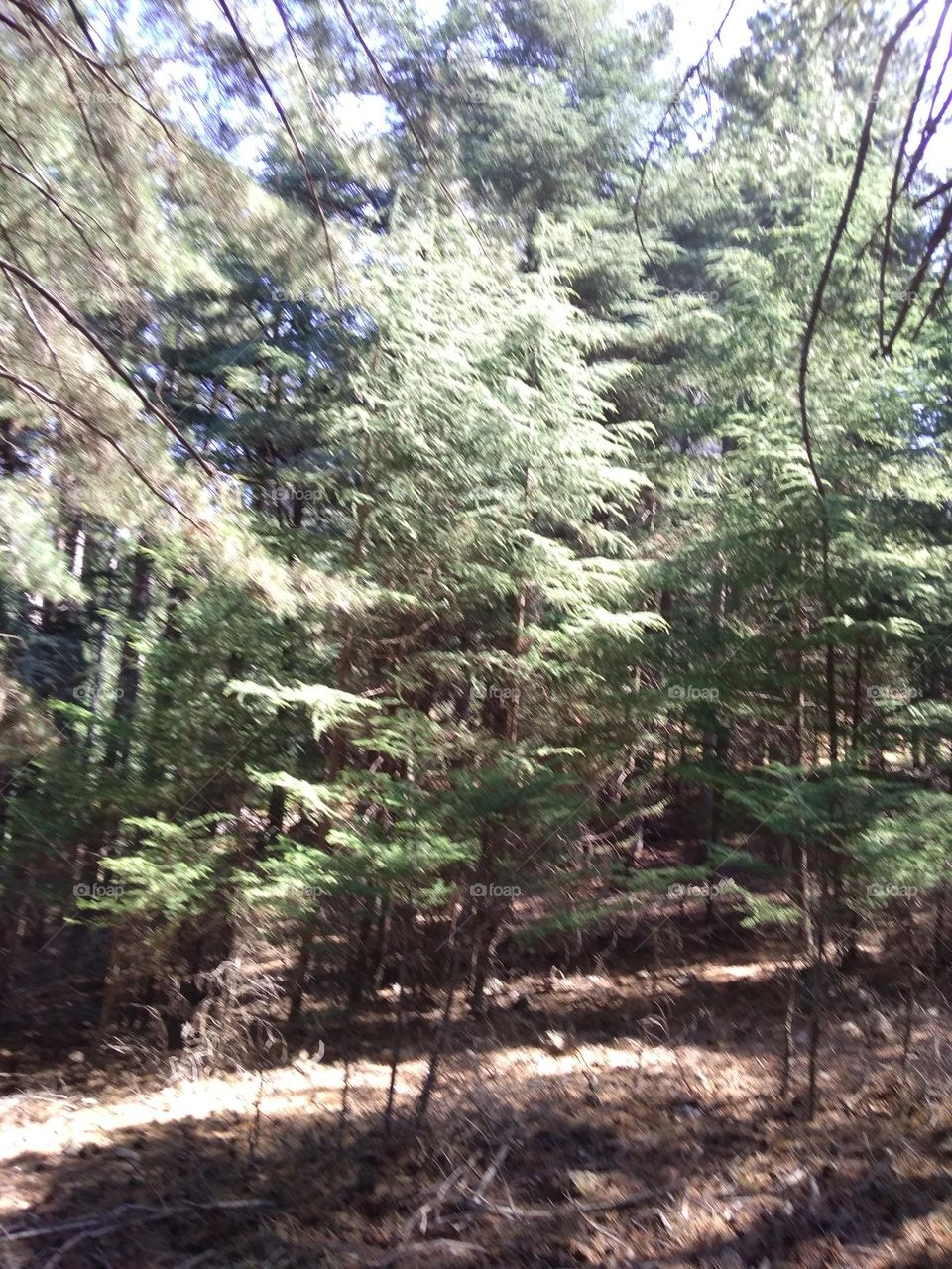 Editors' Choice - Photo of the Week