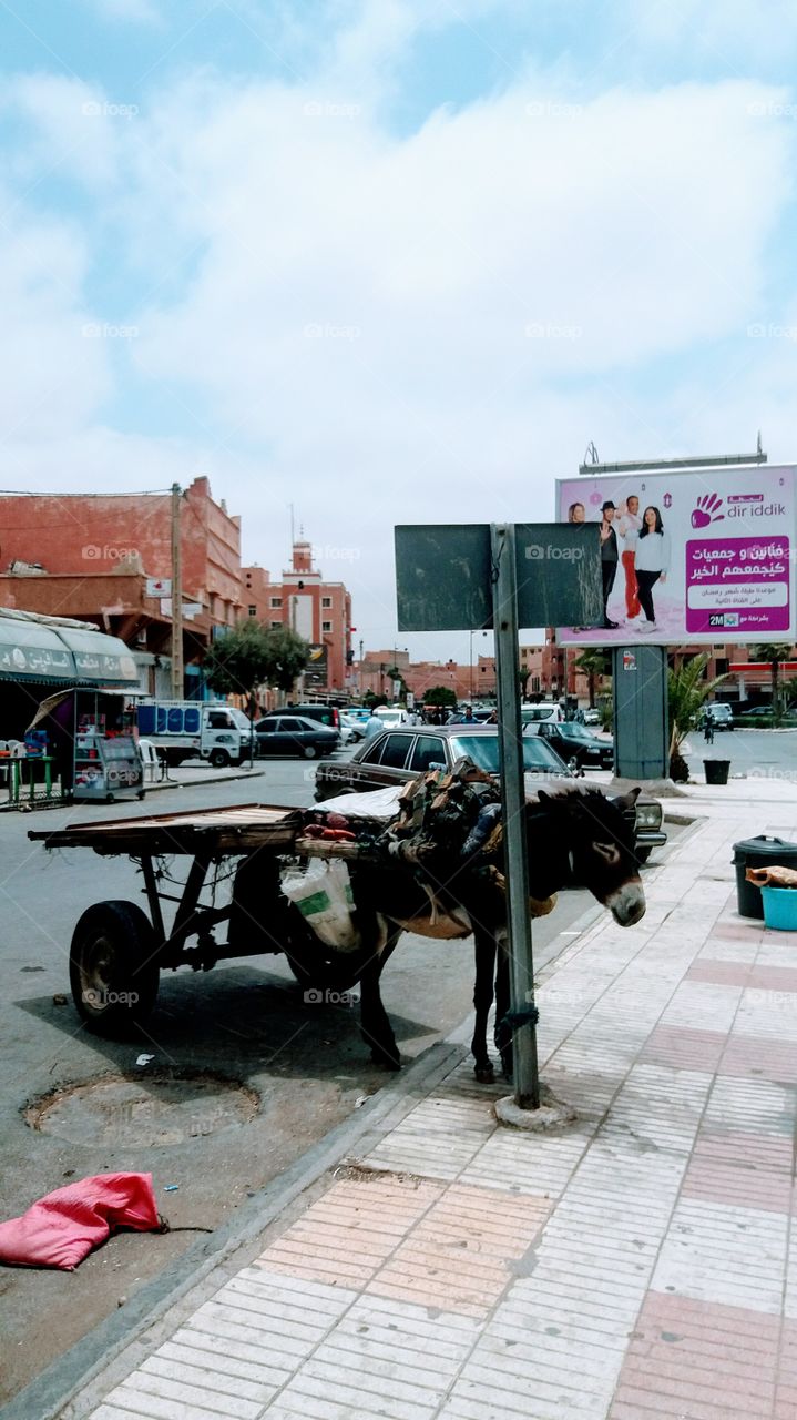 A cart with a donkey waiting for its owner in a street..