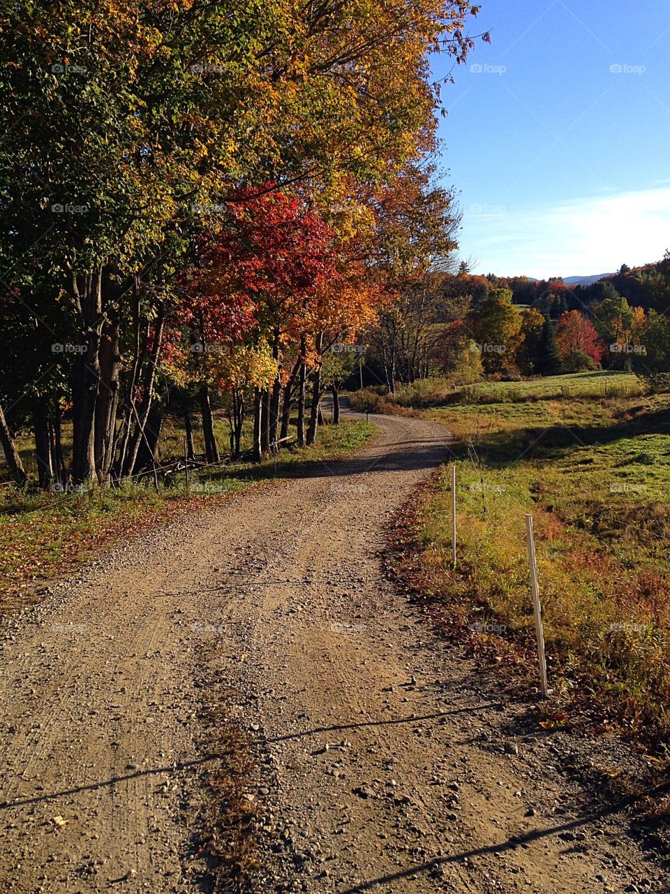 Winding road . Road to the farm 
