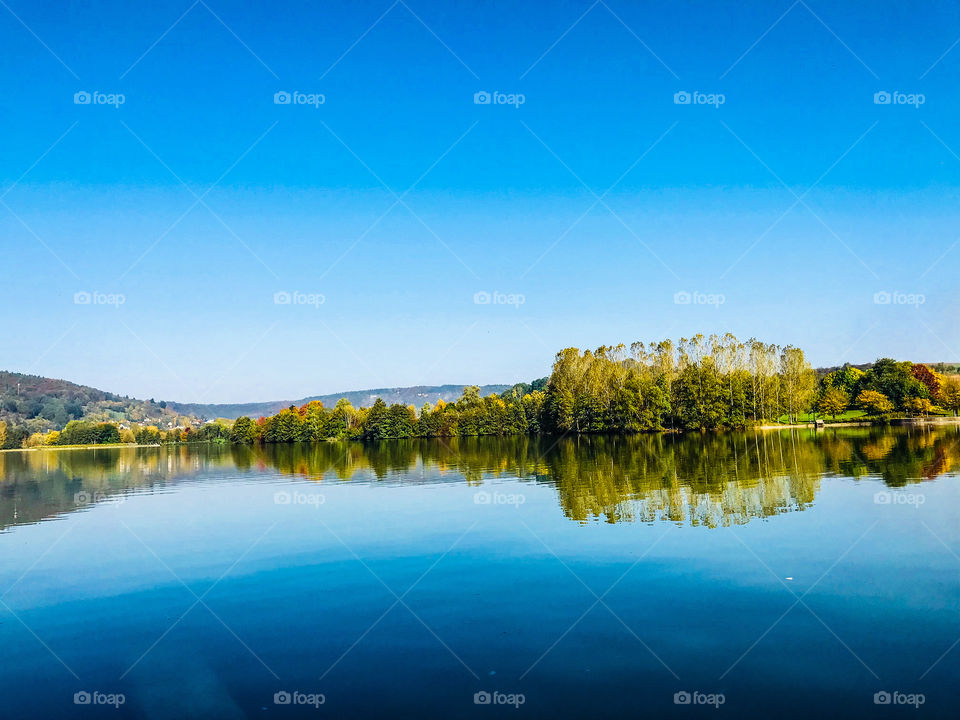 morning over the lake in the forest
