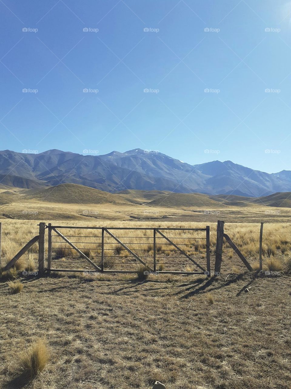 pradera cerca de montañas mendocinas