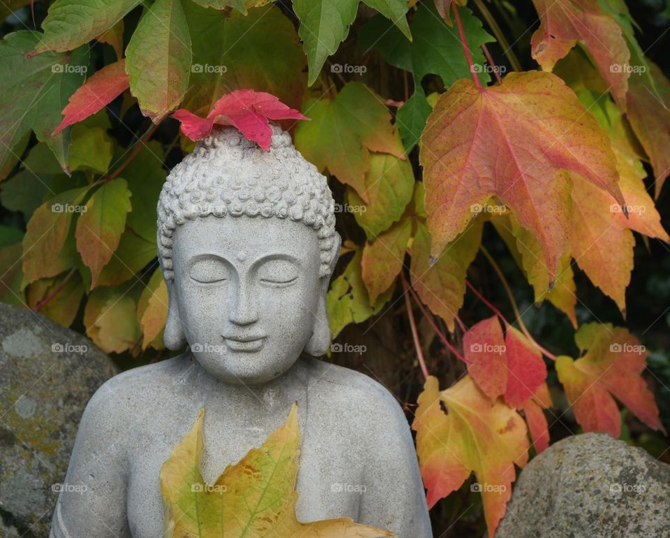 Autumnal buddha statue