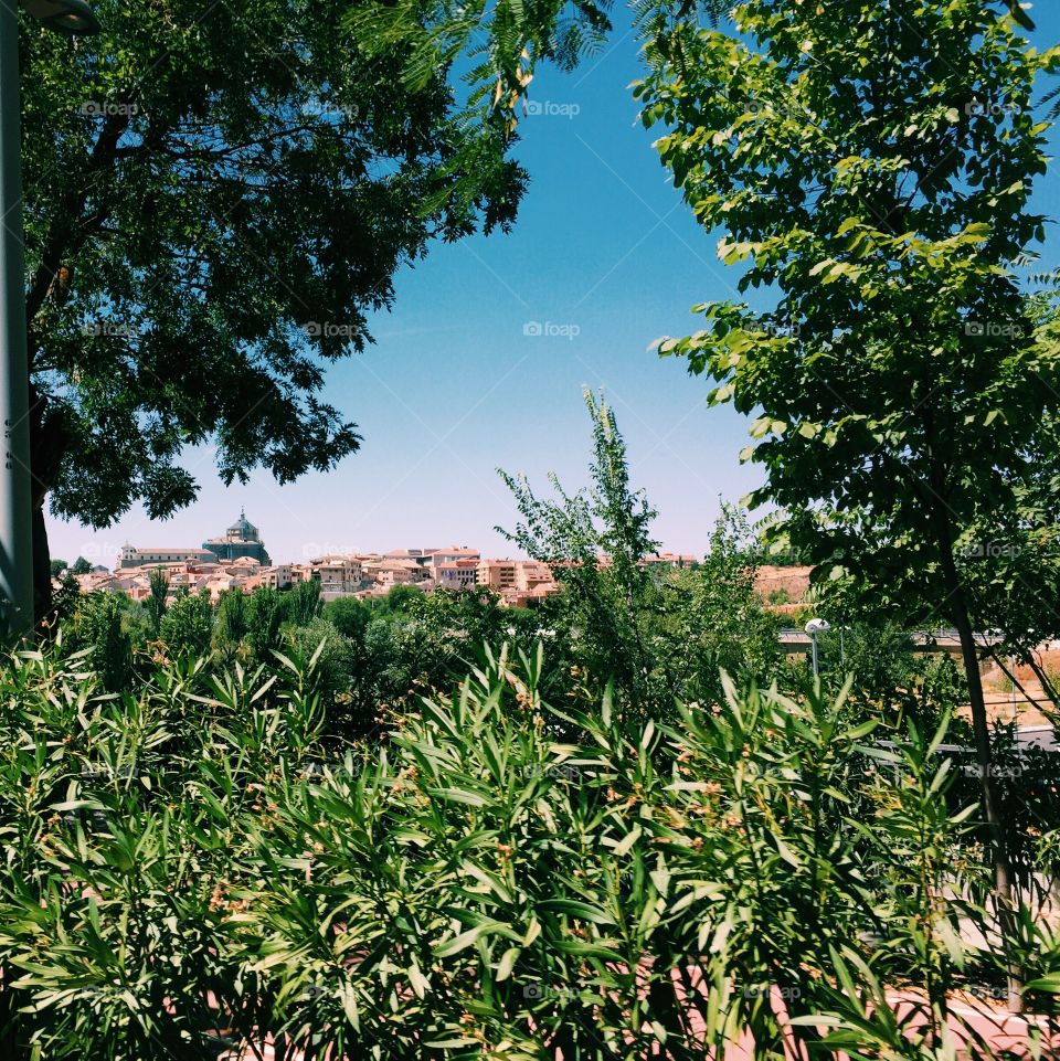 High angle view of nature