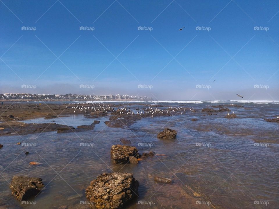 amazing place to be with seagull