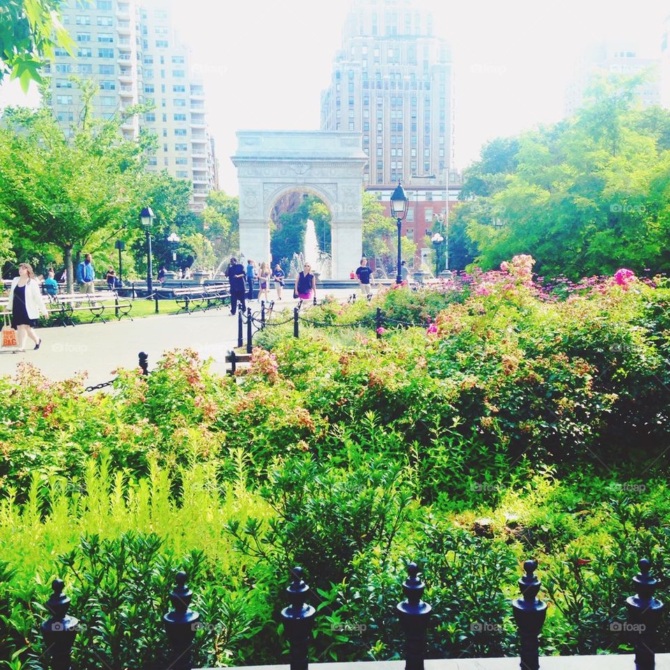 Summer in Washington Square Park