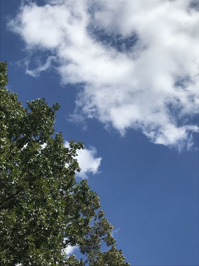 Somewhere Out There 