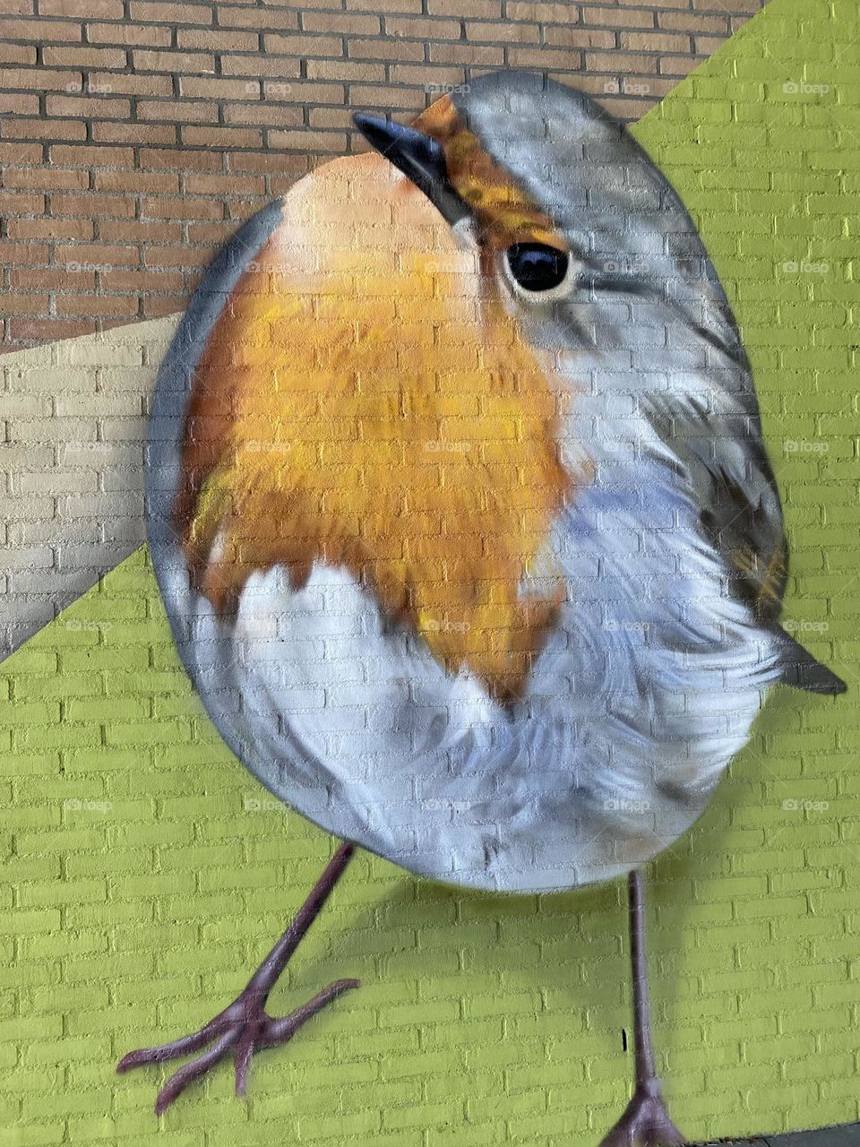 This bird is a cute ball of feathery cuteness that you just want to hug. I love the puffy chest that is even more distinguished by its color.