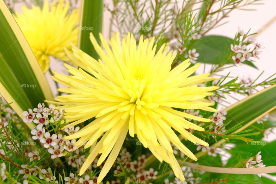 Floral arrangement, bright yellow flowers with white fillers