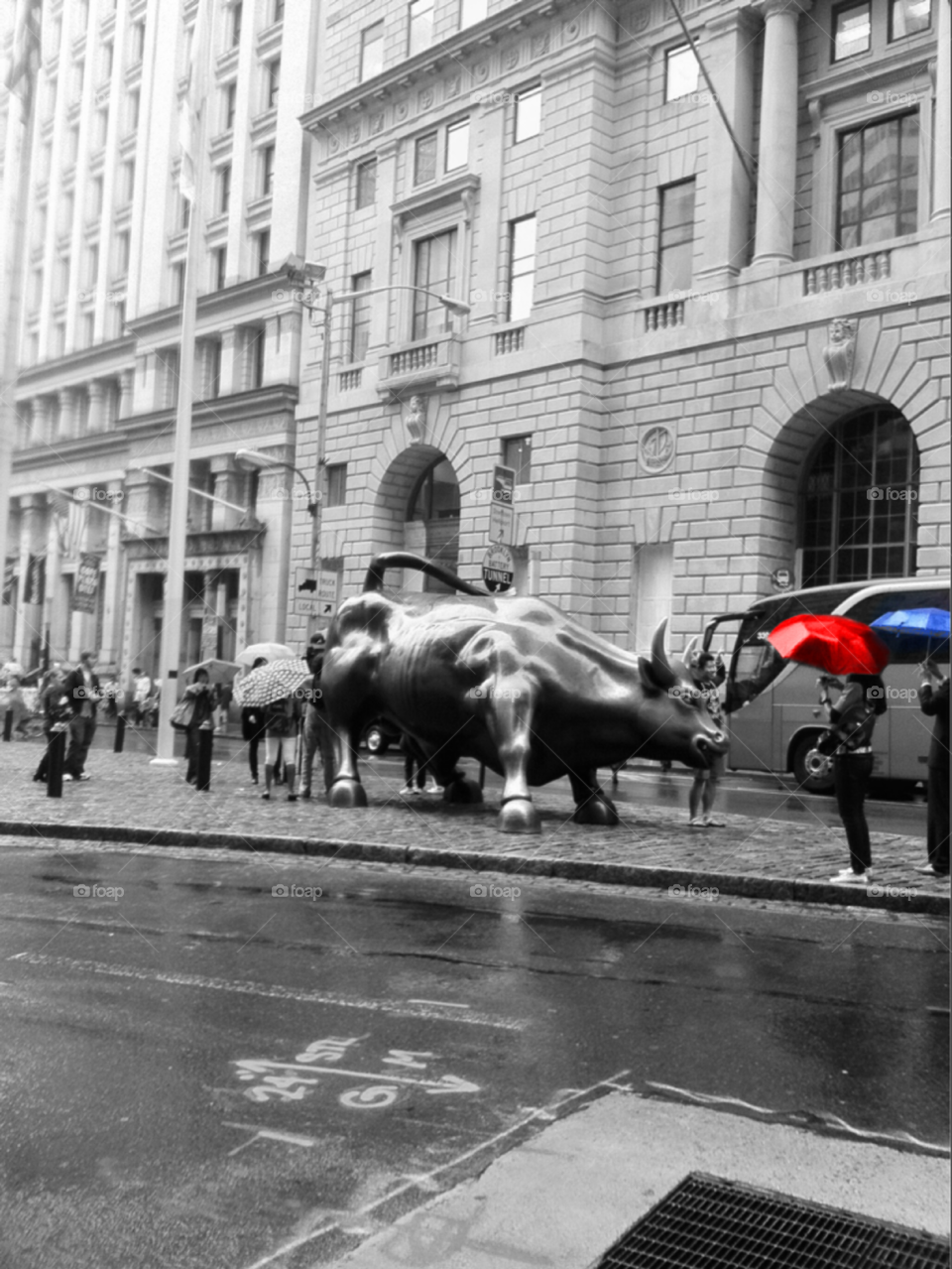 Wall Street Bull - Rainy day - financial district, New York City. Rainy day umbrellas- financial district, New York City
