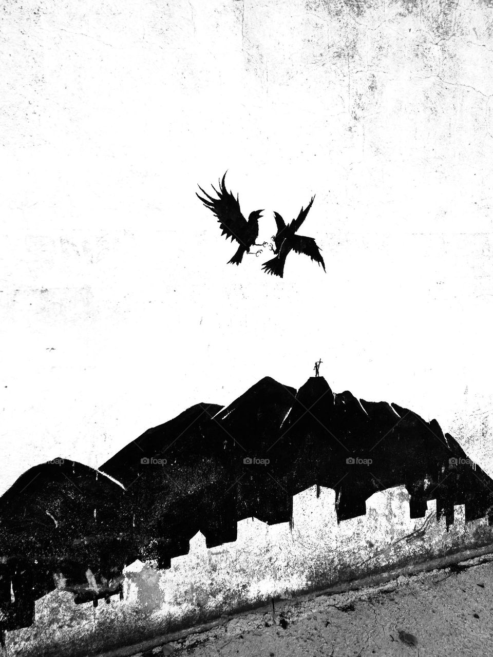 Editors' Choice - Photo of the Week