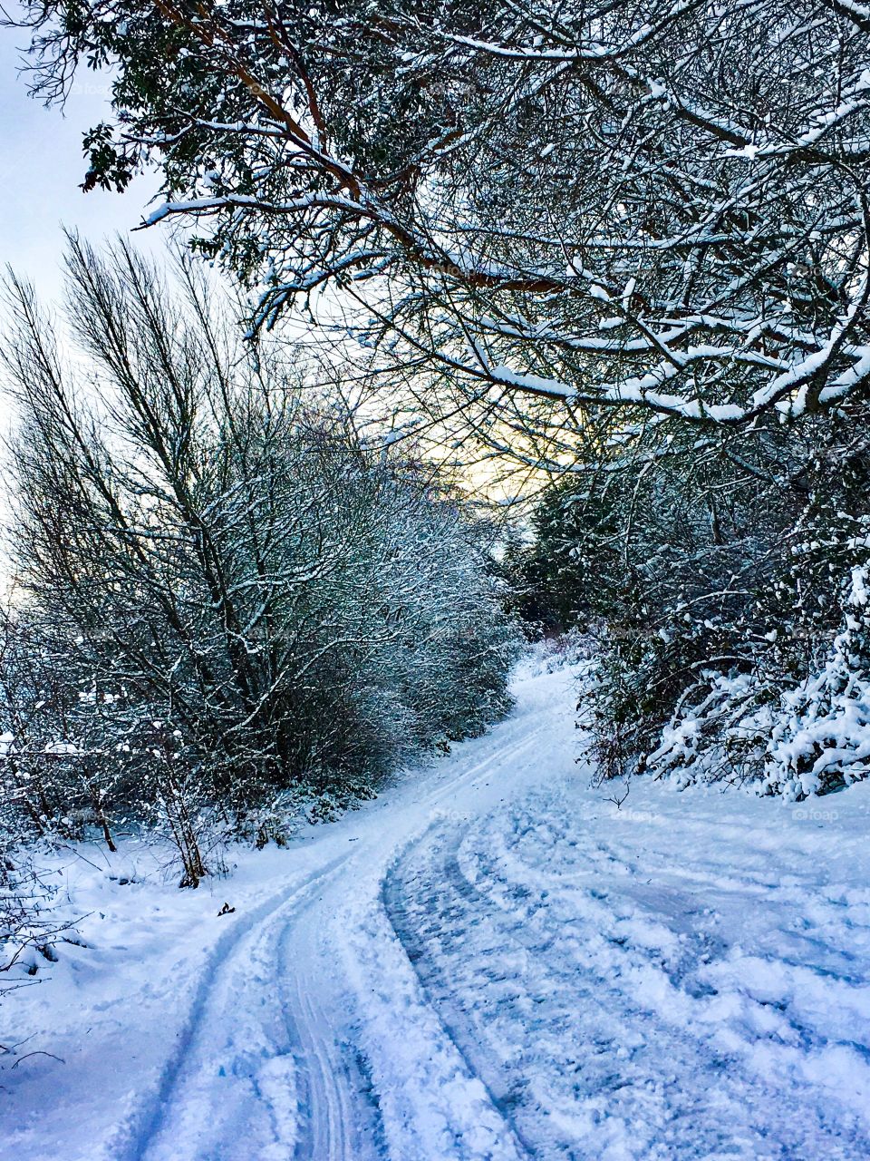 Beautiful Snowy Walk 