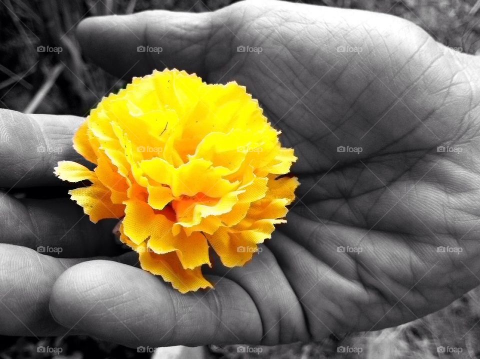 Yellow flower on hand