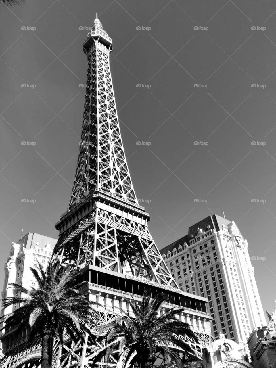 Eiffel Tower replica Las Vegas, NV rising from the surrounding hotels.
