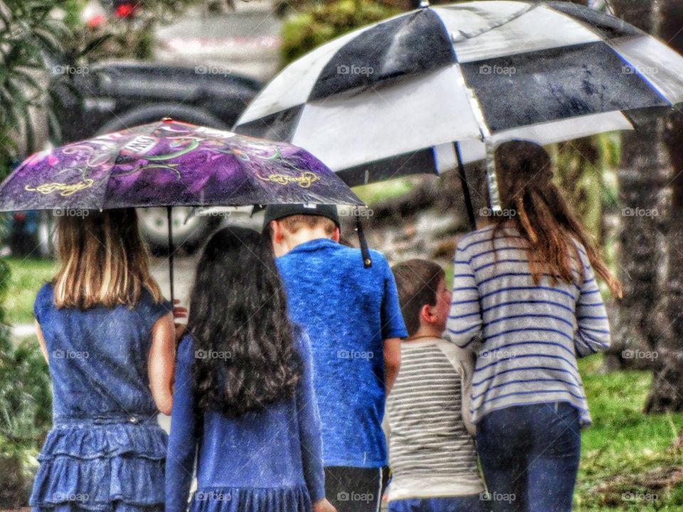 Group Of Children Walking Under Umbrellas. Children Walking Under Umbrellas In A Storm
