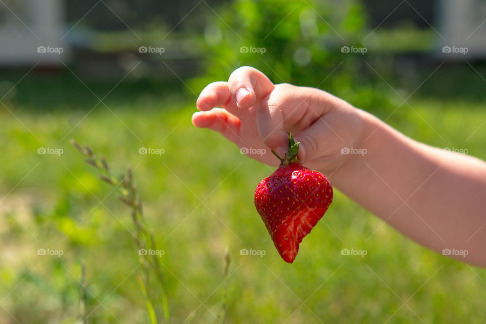 Hand holding strawberry