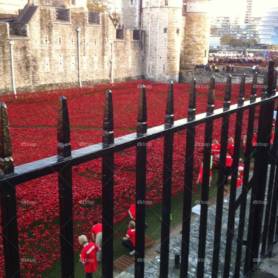 Poppy's lest we forget