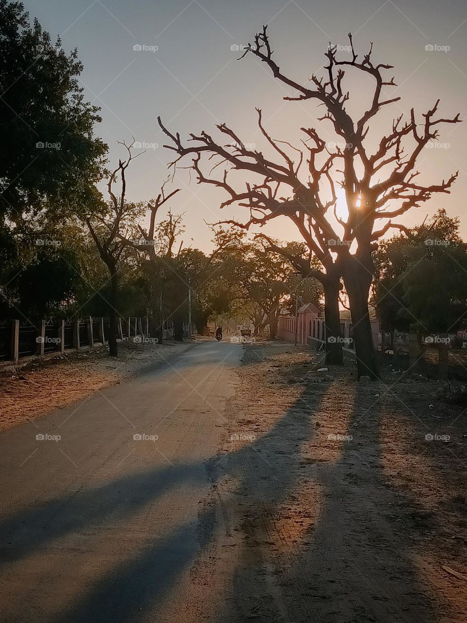 Indian Street photography