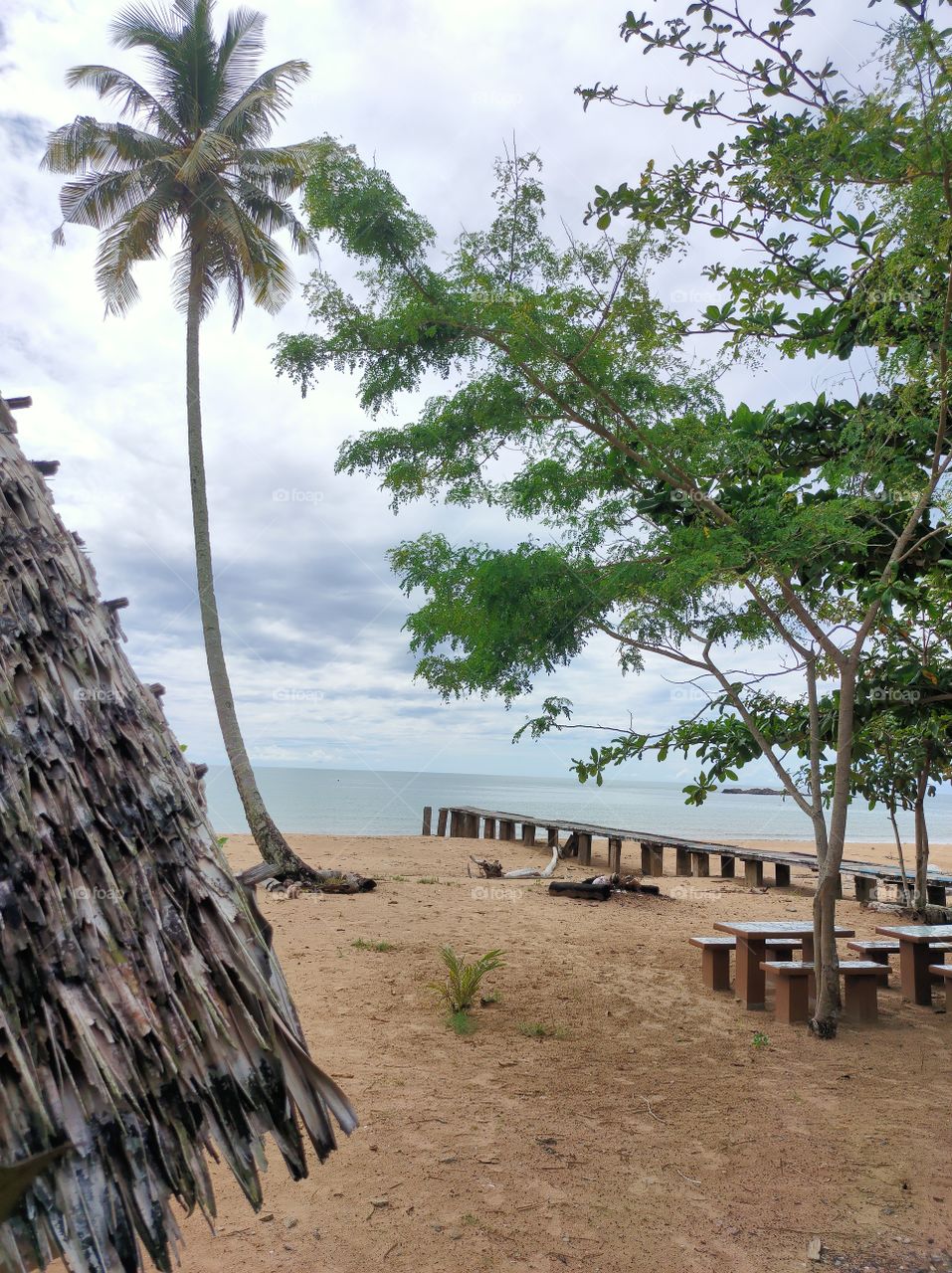 scenery on the beach in the afternoon