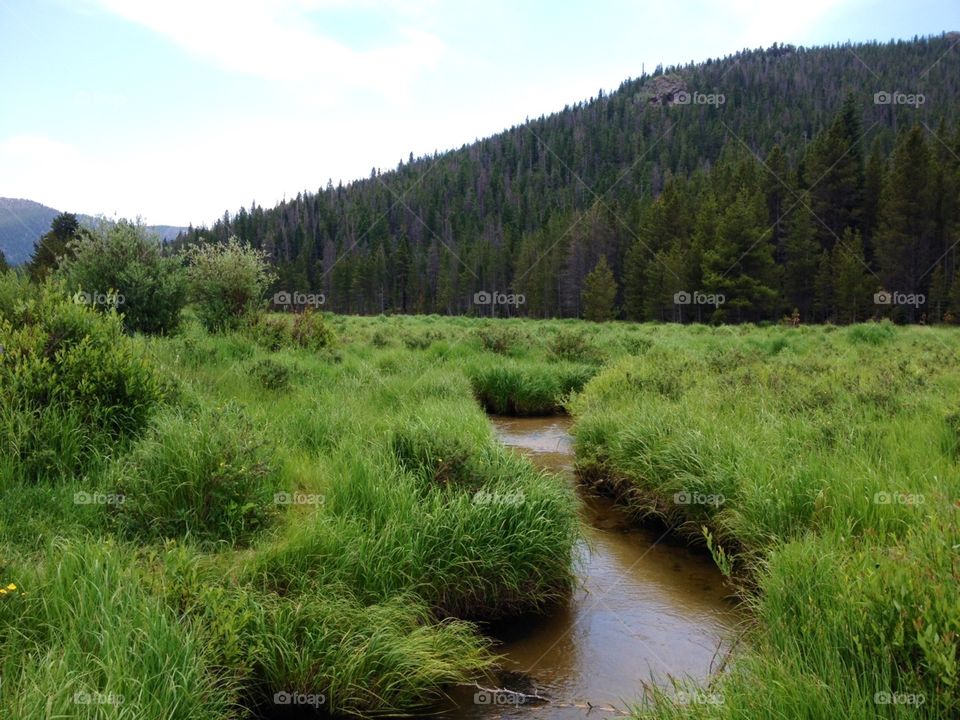 Colorado stream 