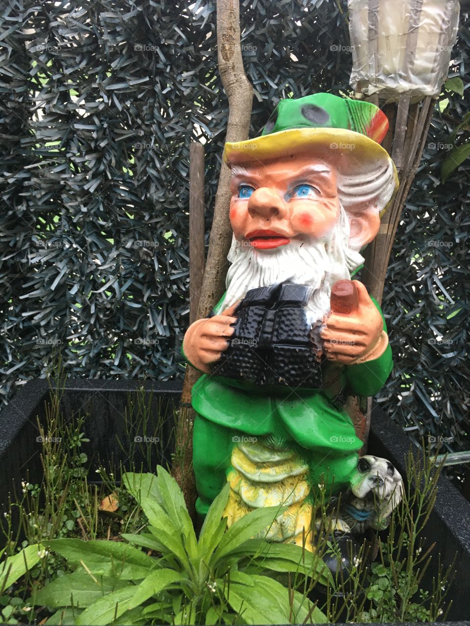 Nice garden gnome