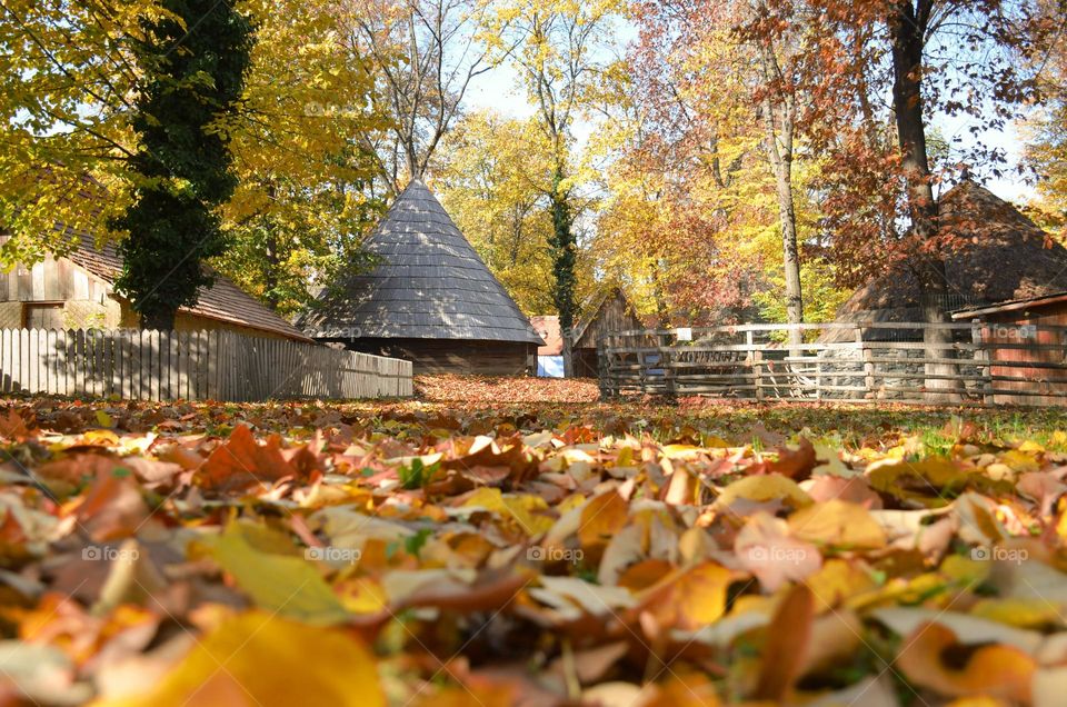 Autumn in Village