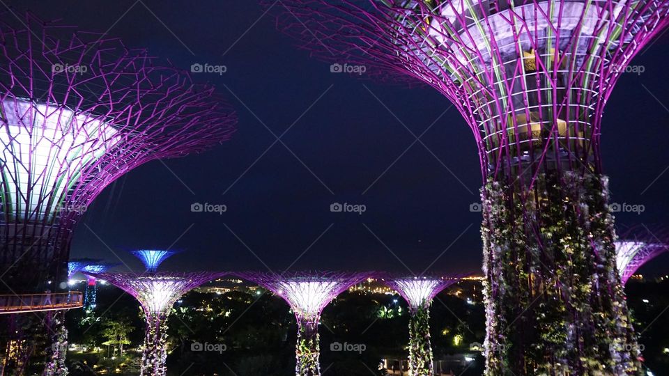 Sky bridge at the Garden by the Bay