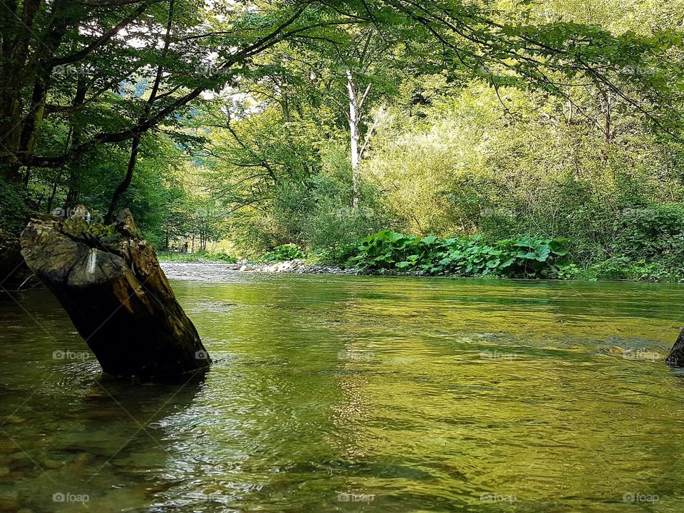 mountain river