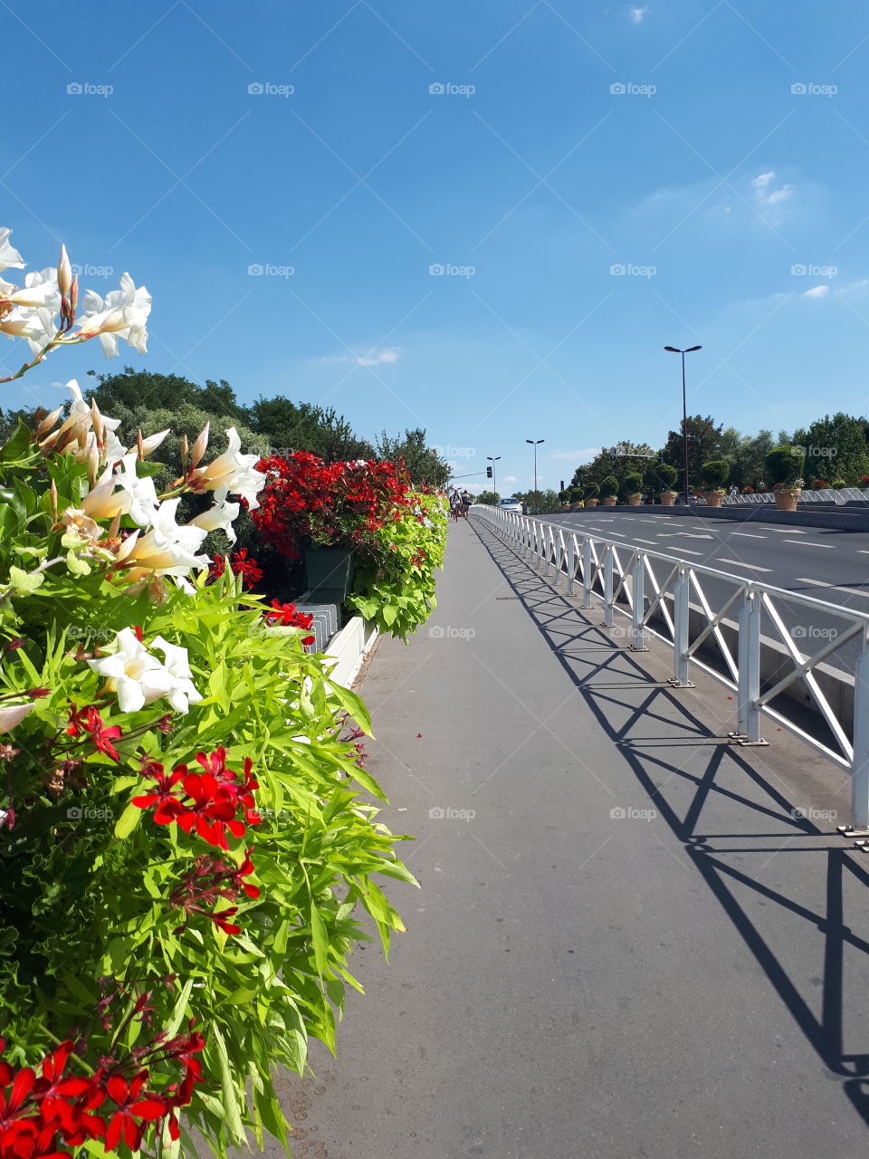Bridge with white and red flowers