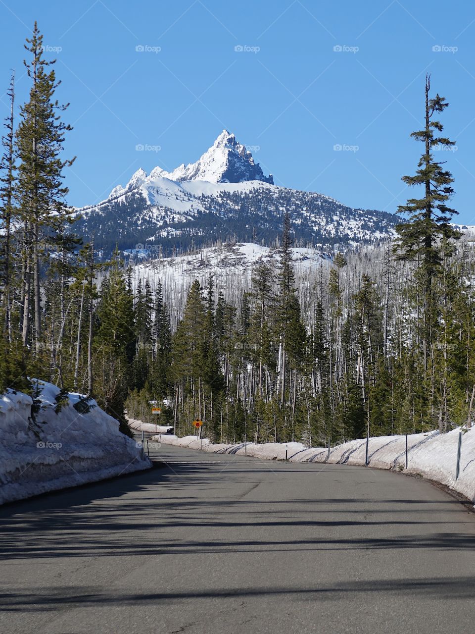 The jagged snow covered peak of Mt. Washington in Oregon’s forests and Cascade Mountain Range against a clear blue sky on a sunny spring day.