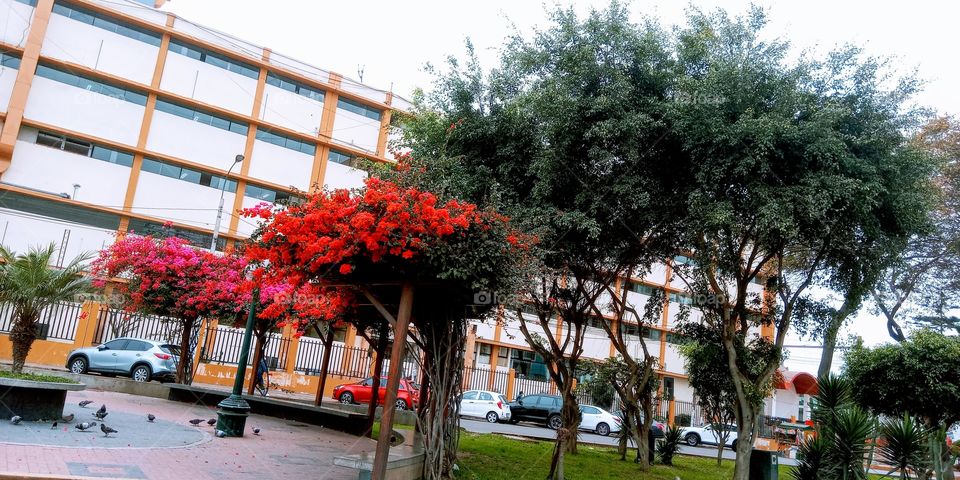 Singular and beautiful